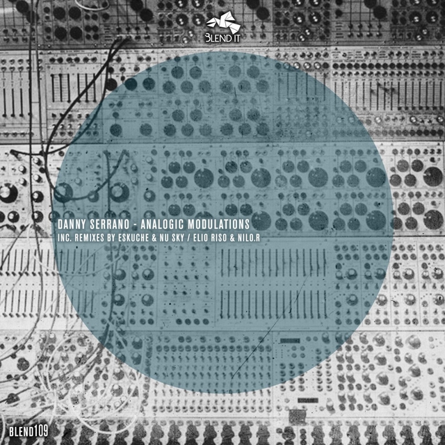 Couverture de Analogic Modulations