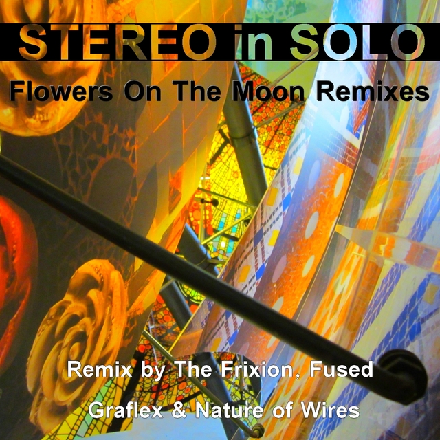 Couverture de Flowers on the Moon Remixes