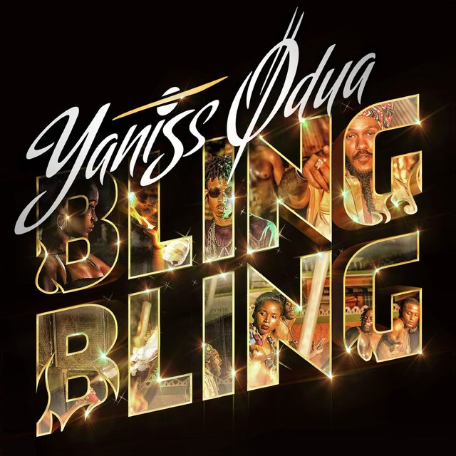 Couverture de Bling bling