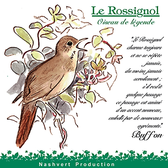 Rossignol, oiseau de légende