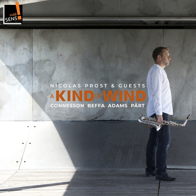 Couverture de A Kind of Wind