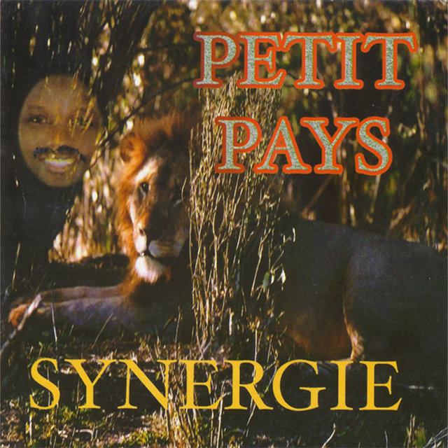 Synergie