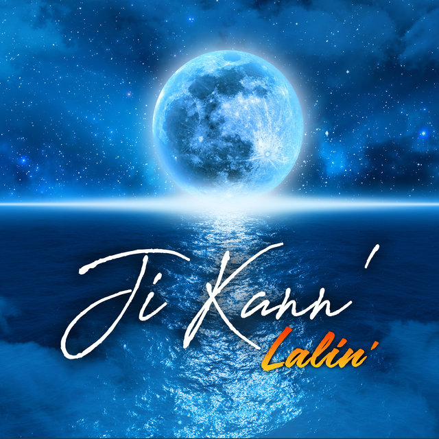 Couverture de Lalin