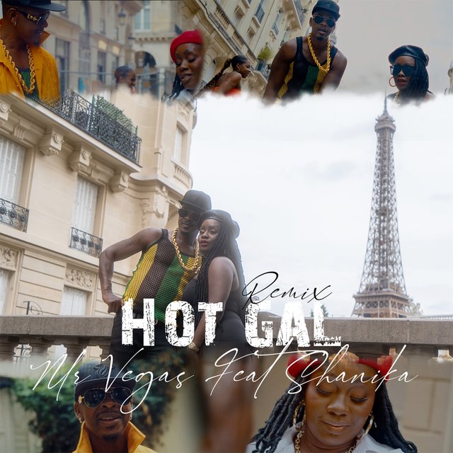 Couverture de Hot Gal