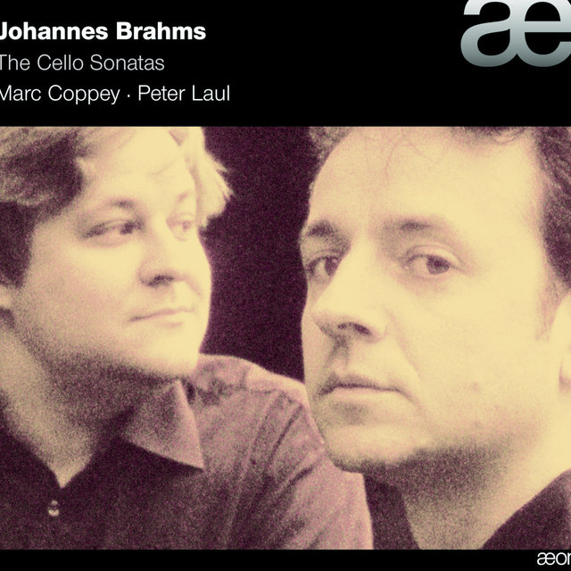 Couverture de Brahms: The Cello Sonatas