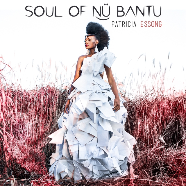 Couverture de Soul of Nü Bantu