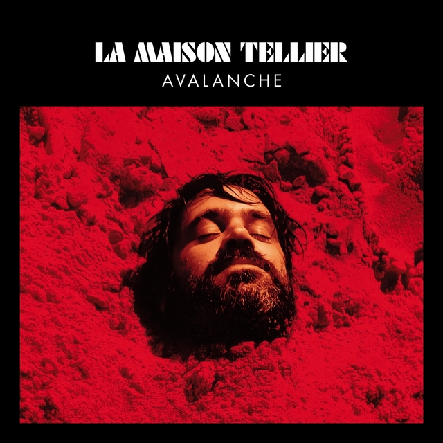 Couverture de Avalanche