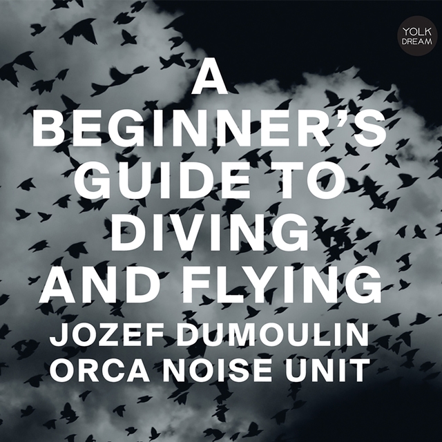 Couverture de A Beginner's Guide to Diving and Flying