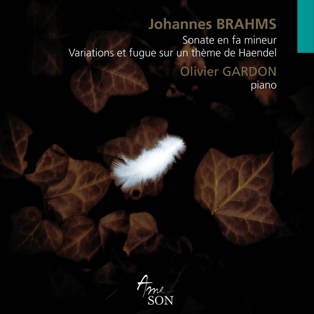 Couverture de Brahms