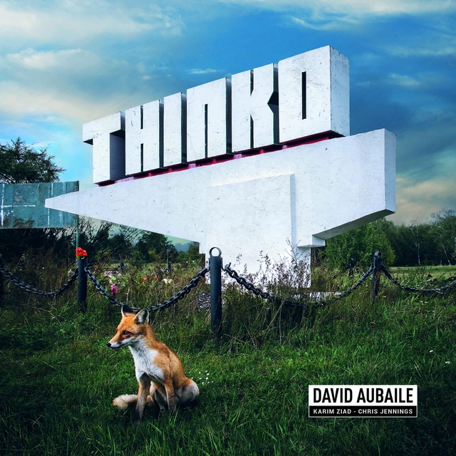 Couverture de Thinko