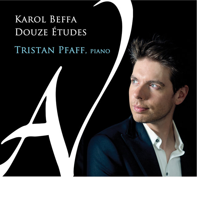 Couverture de Beffa: Douze études