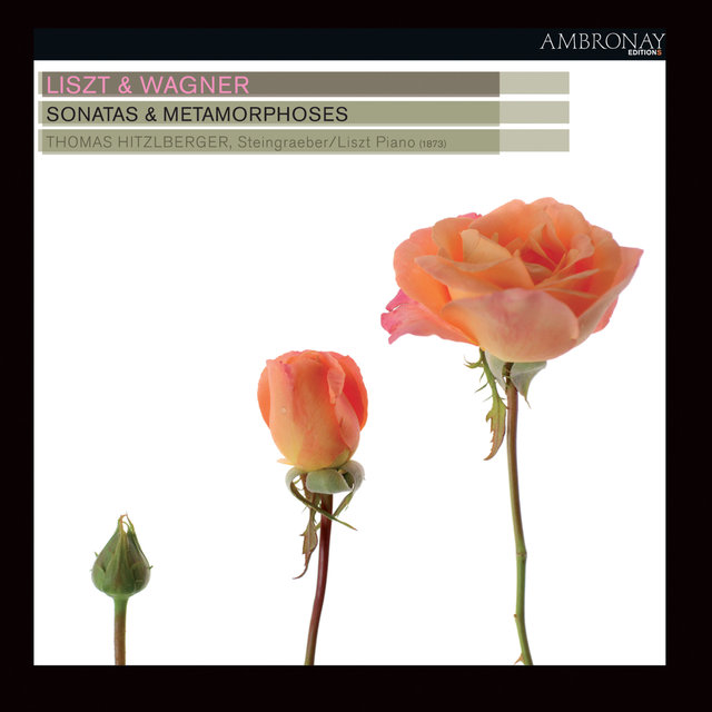 Couverture de Liszt & Wagner: Sonatas & Metamorphoses