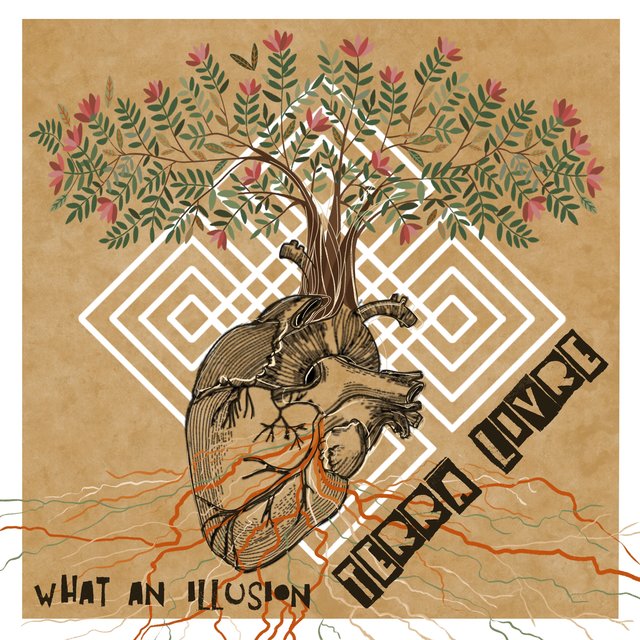 Couverture de What an Illusion