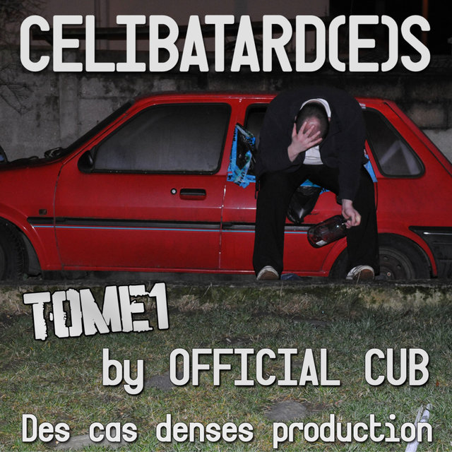 Célibatard(e)s, Tome 1