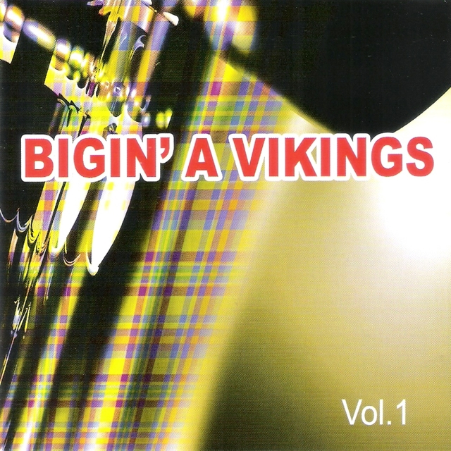 Couverture de Bigin' a Vikings