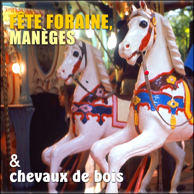 Couverture de Fête foraine, manèges et chevaux de bois