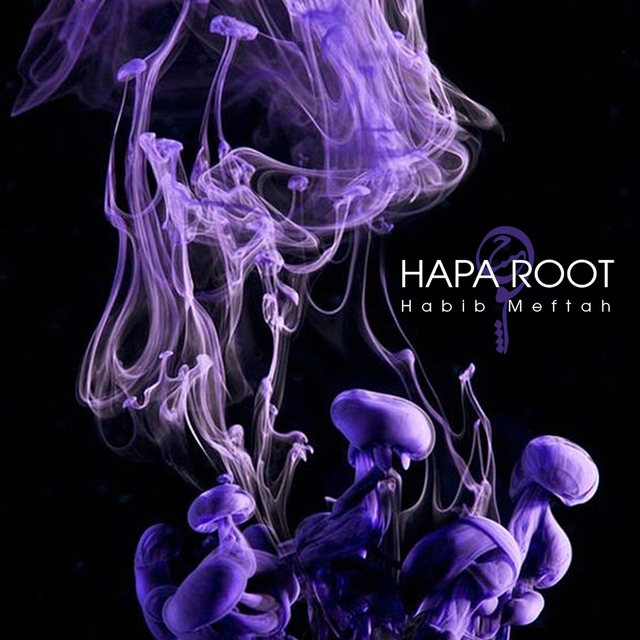 Couverture de Hapa Root