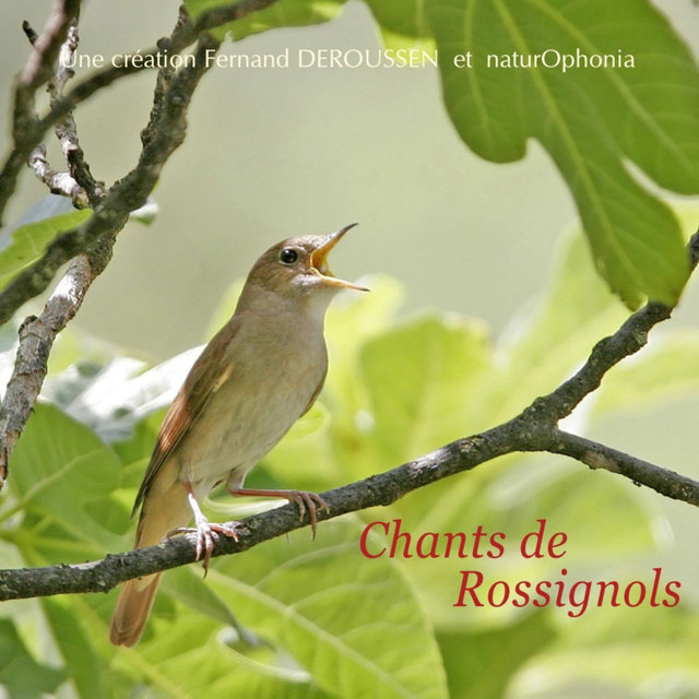 Naturophonia: Chants de rossignols