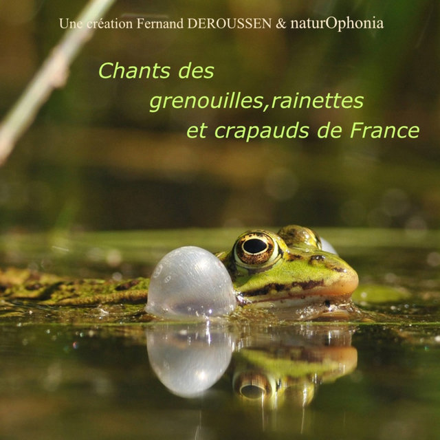 Naturophonia: Chants des grenouilles, rainettes et crapauds de France