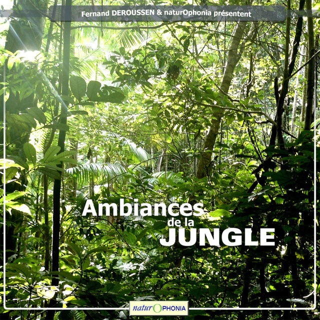 Naturophonia: Ambiances de la jungle