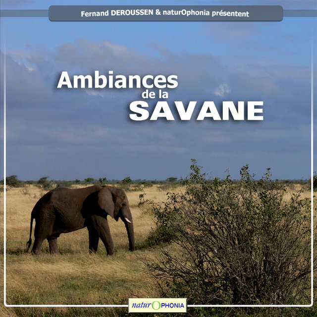 Naturophonia: Ambiances de la savane