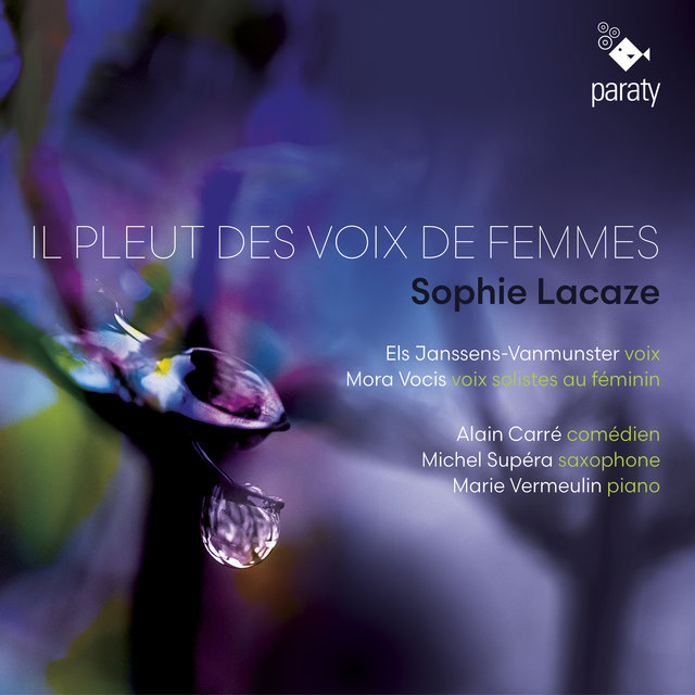 Couverture de Il pleut des voix de femmes