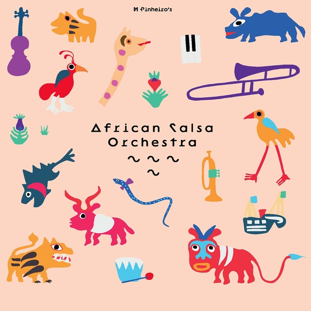 Couverture de African Salsa Orchestra