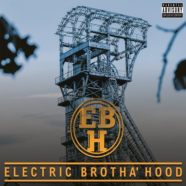 Couverture de Electric brotha'hood