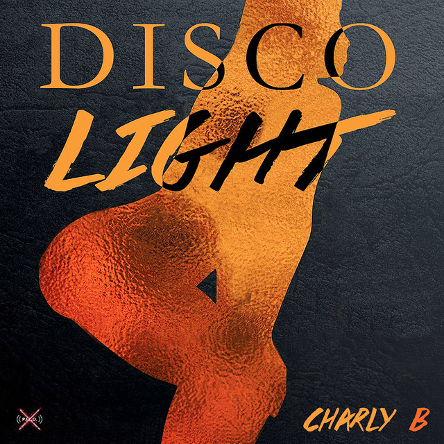 Couverture de Disco Light