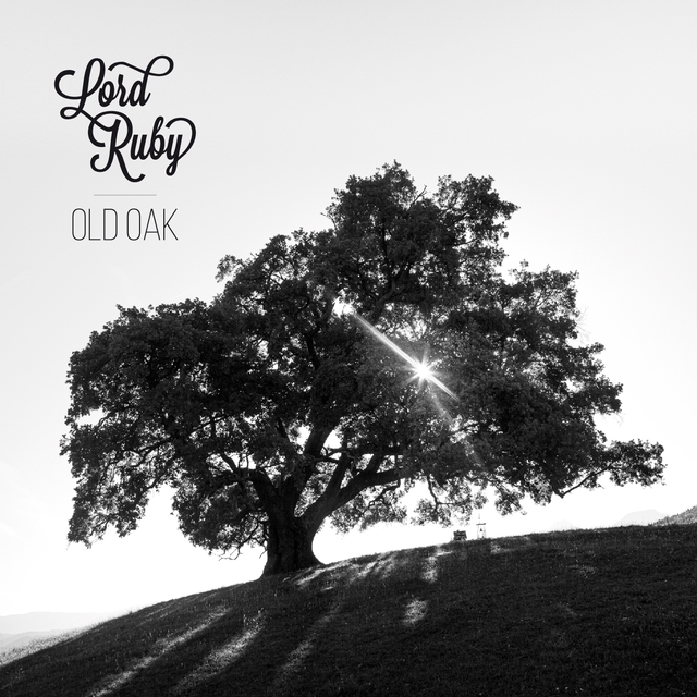 Couverture de Old Oak