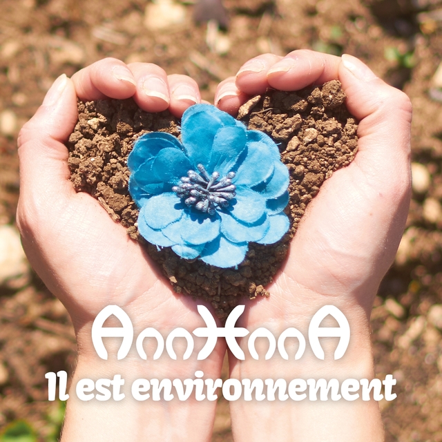 Il est environnement