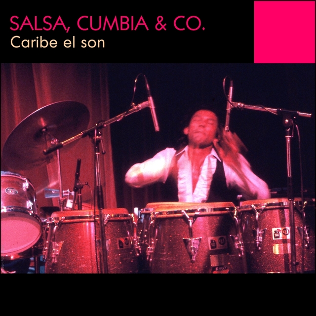 Couverture de Salsa, Cumbia & co.