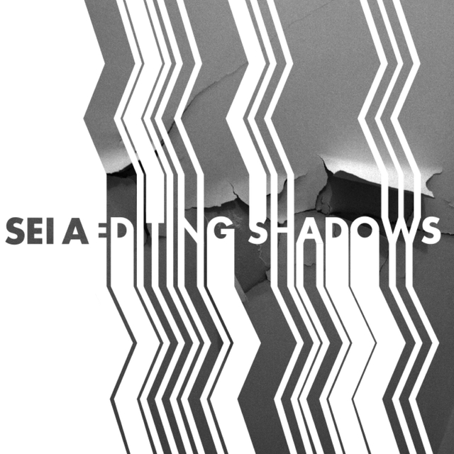 Couverture de Editing shadows