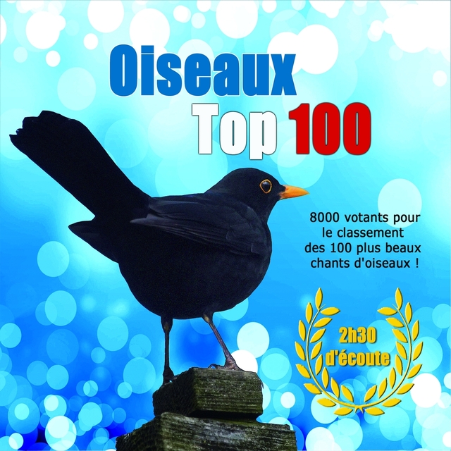 Couverture de Oiseaux Top 100