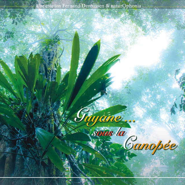 Naturophonia: Guyane... sous la canopée