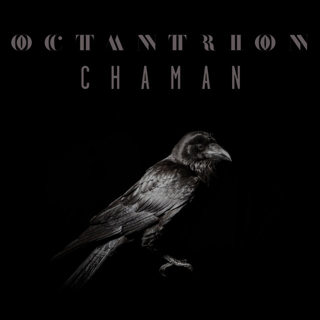 Couverture de Chaman