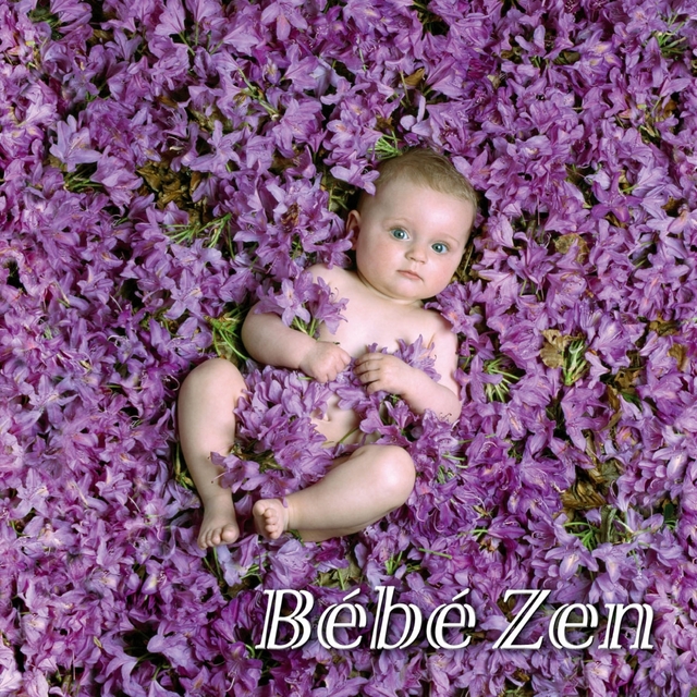 Couverture de Bébé Zen