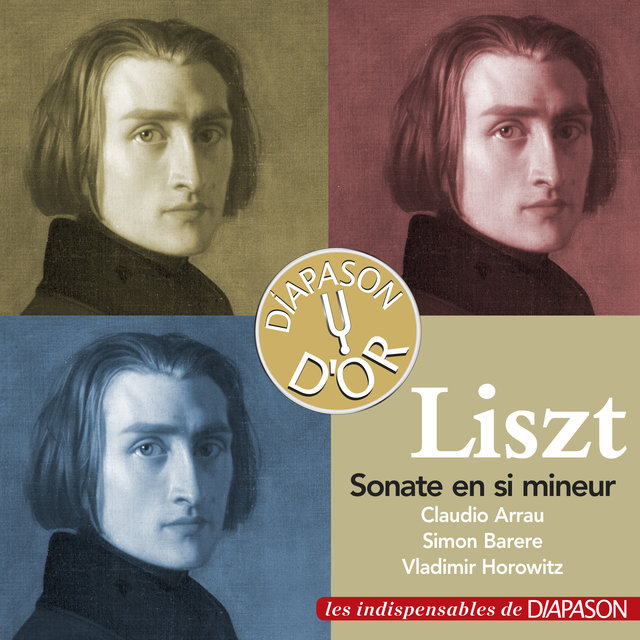 Couverture de Liszt: Sonate en Si Mineur (Les indispensables de Diapason)