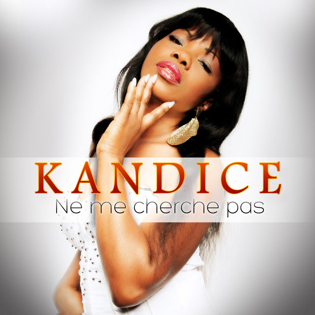 Couverture de Ne me cherche pas - Single