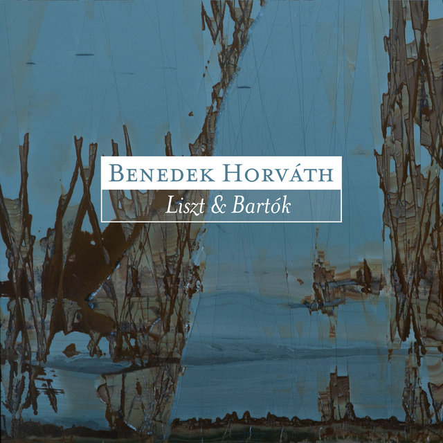 Couverture de Bartók & Liszt: Piano Works