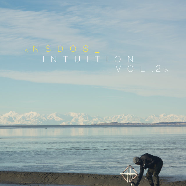 Couverture de Intuition, Vol.2