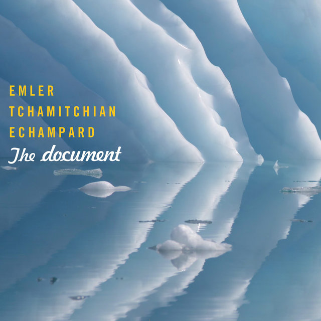 Couverture de The document