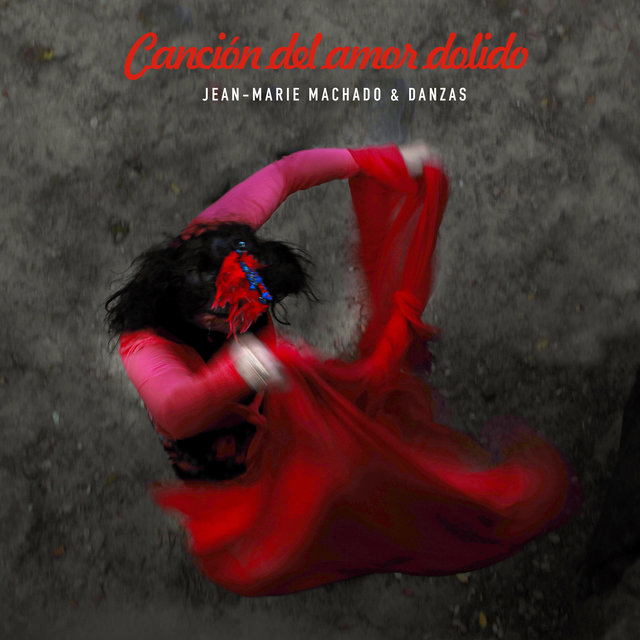 Couverture de Canción del amor dolido