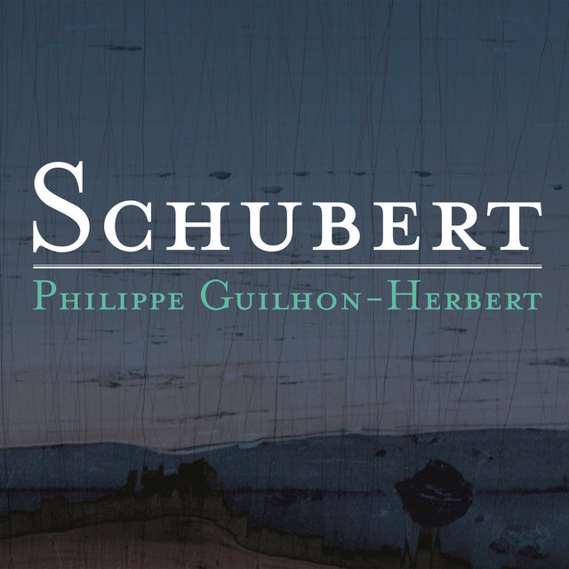 Couverture de Schubert: Piano Sonatas D. 784 & 958