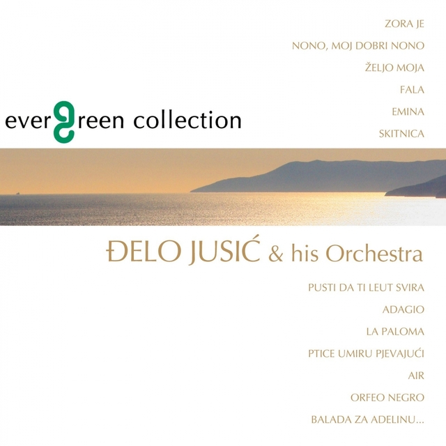 Couverture de Evergreen Collection - Instrumental Pop