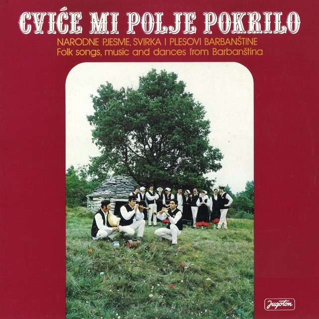 Cviće Mi Polje Pokrilo