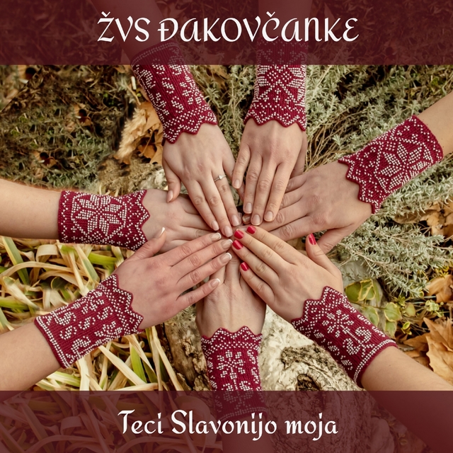 Couverture de Teci Slavonijo Moja