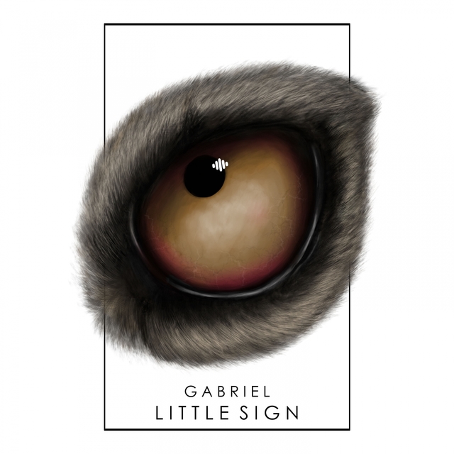 Couverture de Little Sign