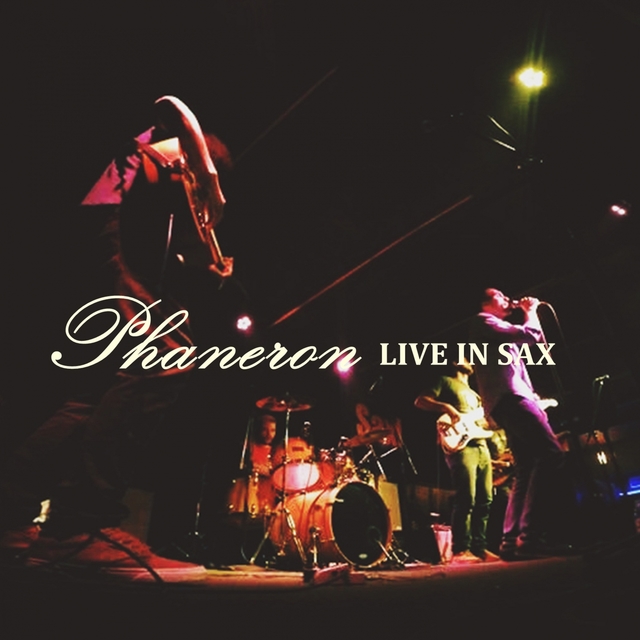 Couverture de Live In Sax