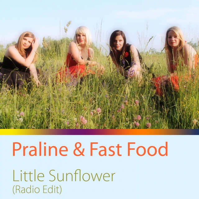 Couverture de Little Sunflower